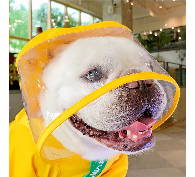 Dinosaur Dog Raincoat | Waterproof Costume | Sizes L–4XL - Pet And Wells