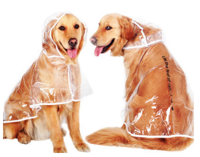 Waterproof Dog Raincoat for Large & Medium Breeds | Sizes XS–4XL