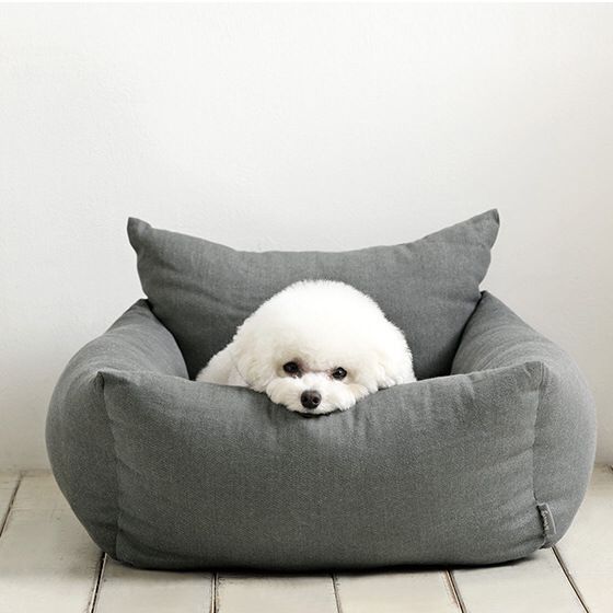 White dog in a gray pet bed on a white floor with a white wall background