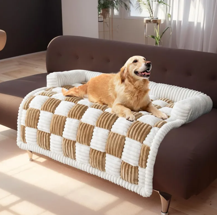 Dog lying on a checkered pet bed in a living room