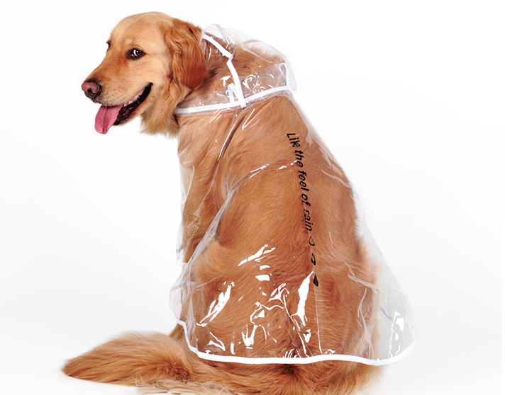 Waterproof Dog Raincoat for Large & Medium Breeds | Sizes XS–4XL