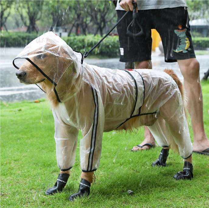 Transparent Reflective Dog Raincoat | Waterproof TPU | Sizes S–XXL