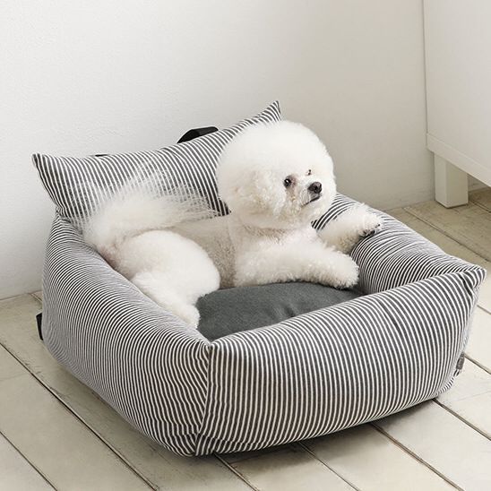 White dog lying on a striped pet bed with a pillow