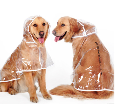 Waterproof Dog Raincoat for Large & Medium Breeds | Sizes XS–4XL