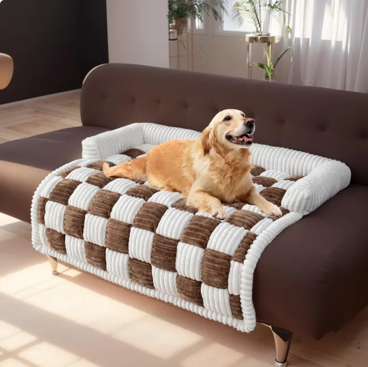 Dog lying on a checkered pet bed on a brown sofa in a bright room.