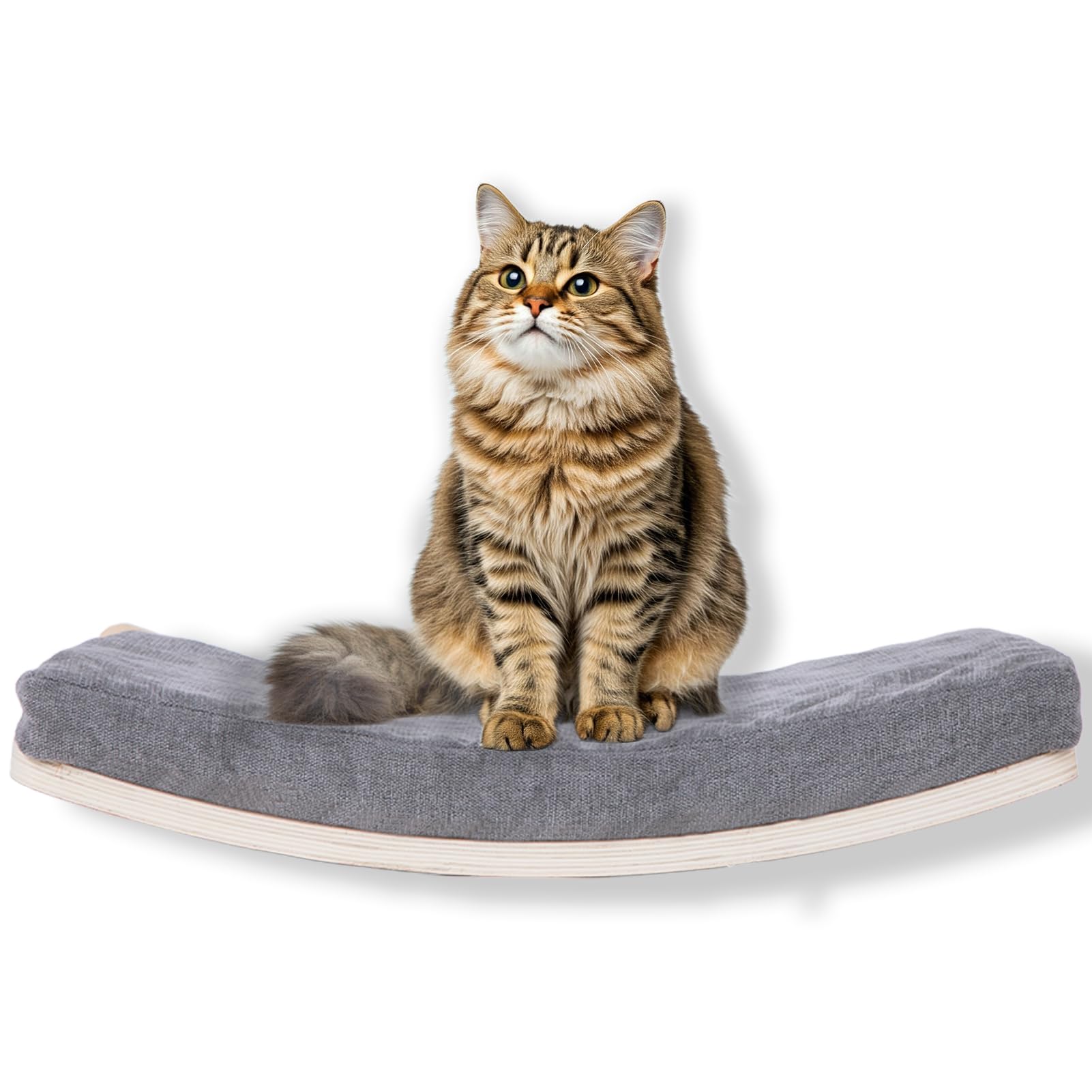 COOLEX AeroNest™ Curved Floating Feline Wall Perch - Pet And Wells