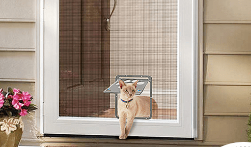 Creative Pet Door with Scratch-Resistant Design - Pet And Wells