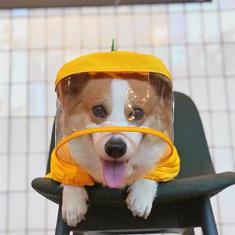 Dinosaur Dog Raincoat | Waterproof Costume | Sizes L–4XL - Pet And Wells