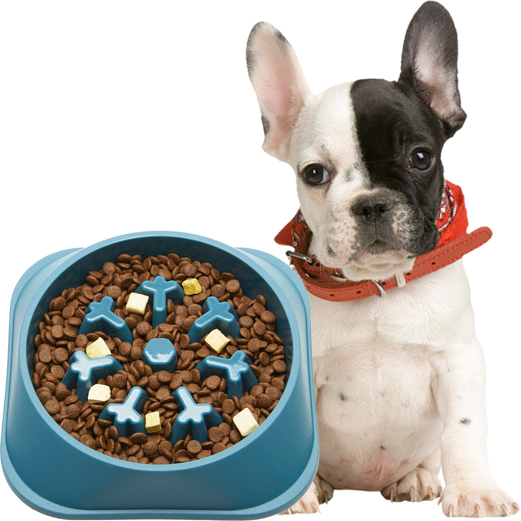 The NeuroPace™ Cognitive Slow-Feeder Bowl