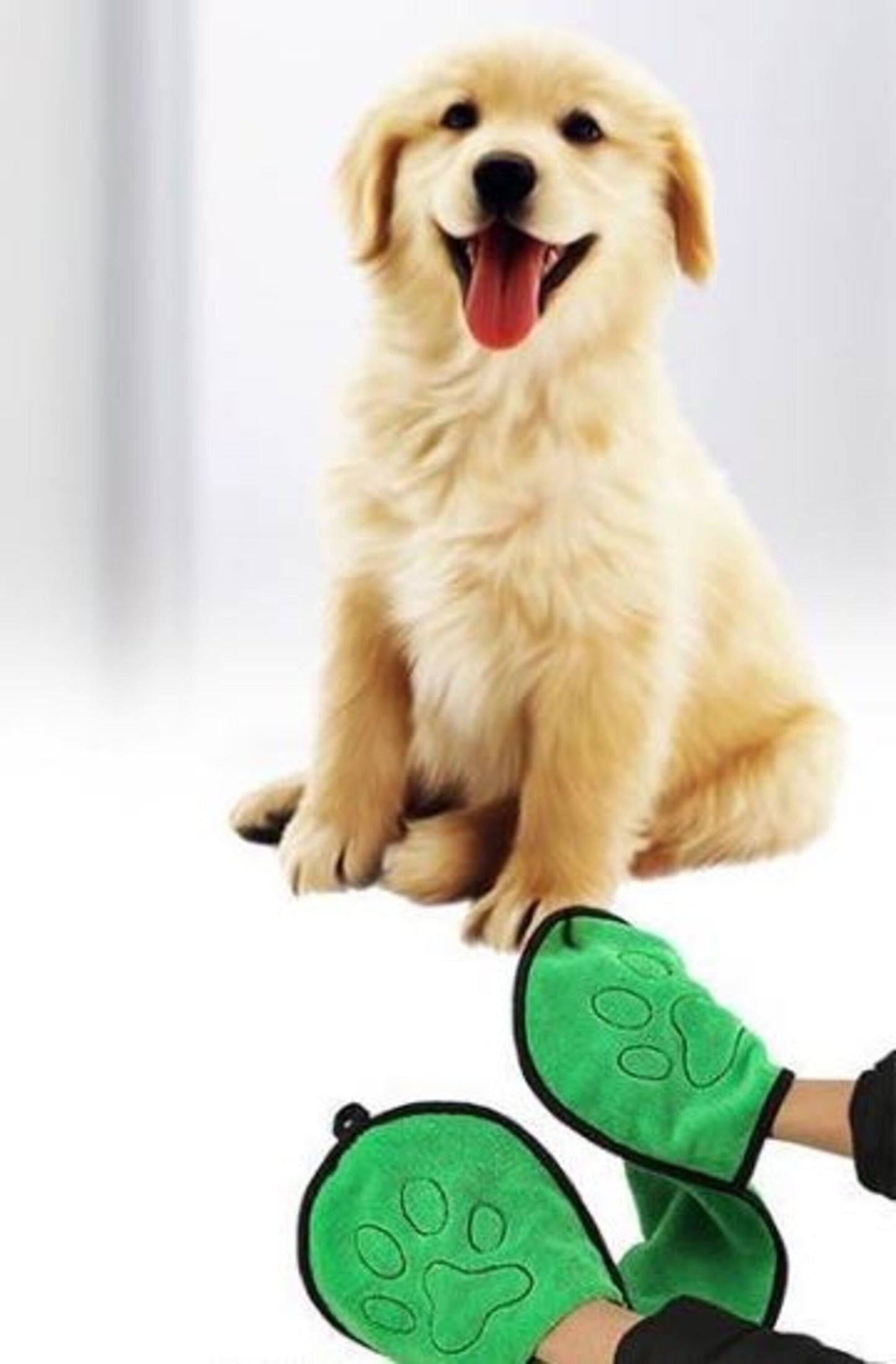Dog owner wearing green paw pads with a blurred background