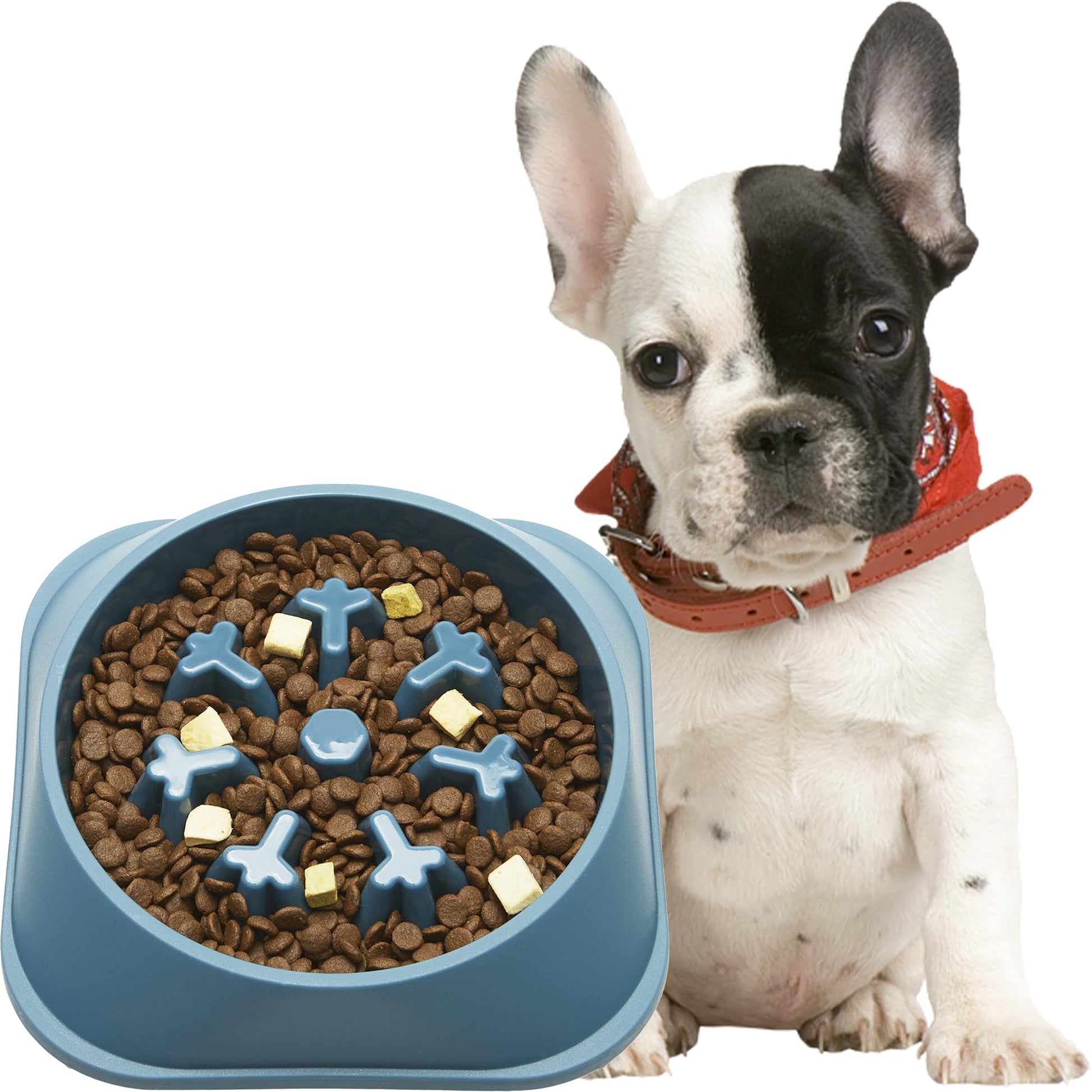 The NeuroPace™ Cognitive Slow-Feeder Bowl - Pet And Wells