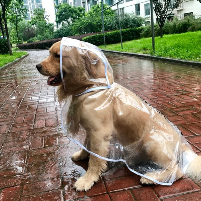 Transparent Reflective Dog Raincoat | Waterproof TPU | Sizes S–XXL - Pet And Wells