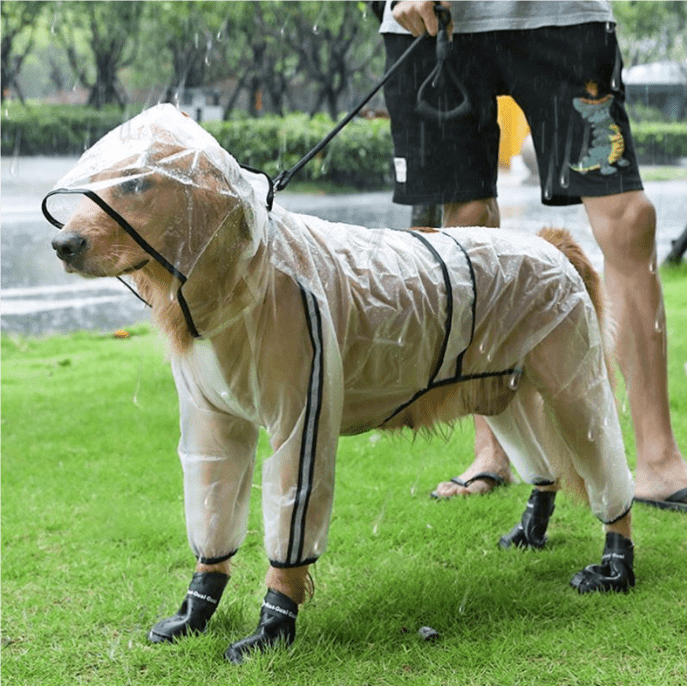 Transparent Reflective Dog Raincoat | Waterproof TPU | Sizes S–XXL - Pet And Wells