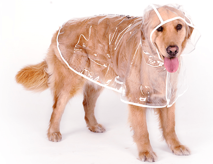 Waterproof Dog Raincoat for Large & Medium Breeds | Sizes XS–4XL - Pet And Wells