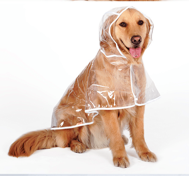 Waterproof Dog Raincoat for Large & Medium Breeds | Sizes XS–4XL - Pet And Wells